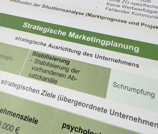 strategische Marketingplanung