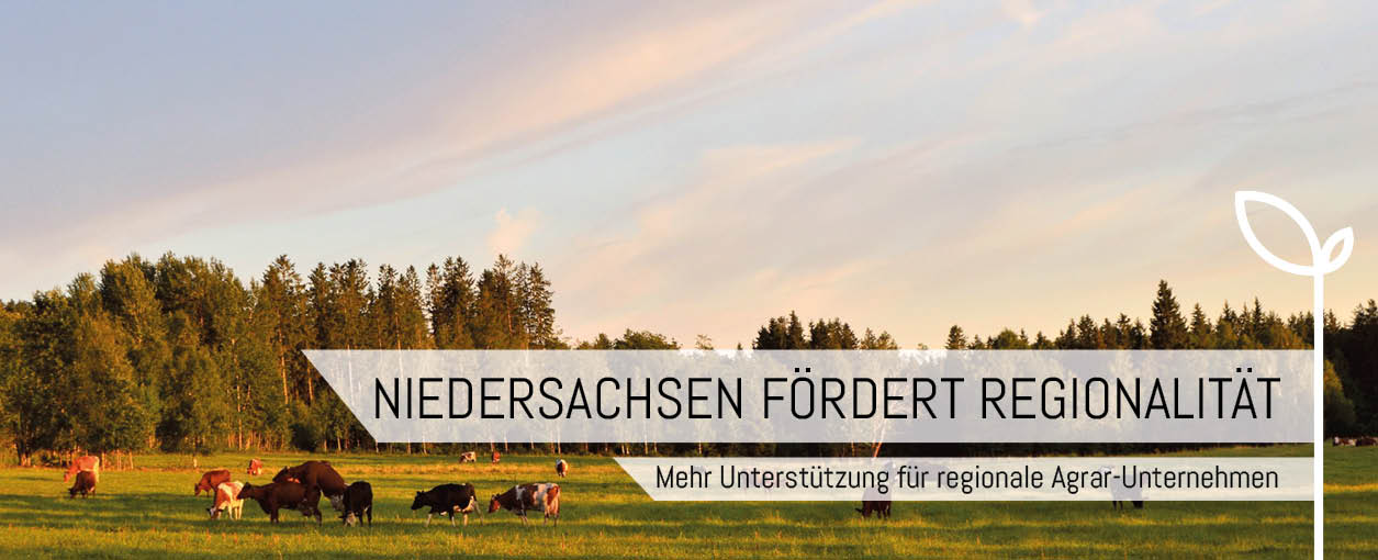 Header NSRegionalität